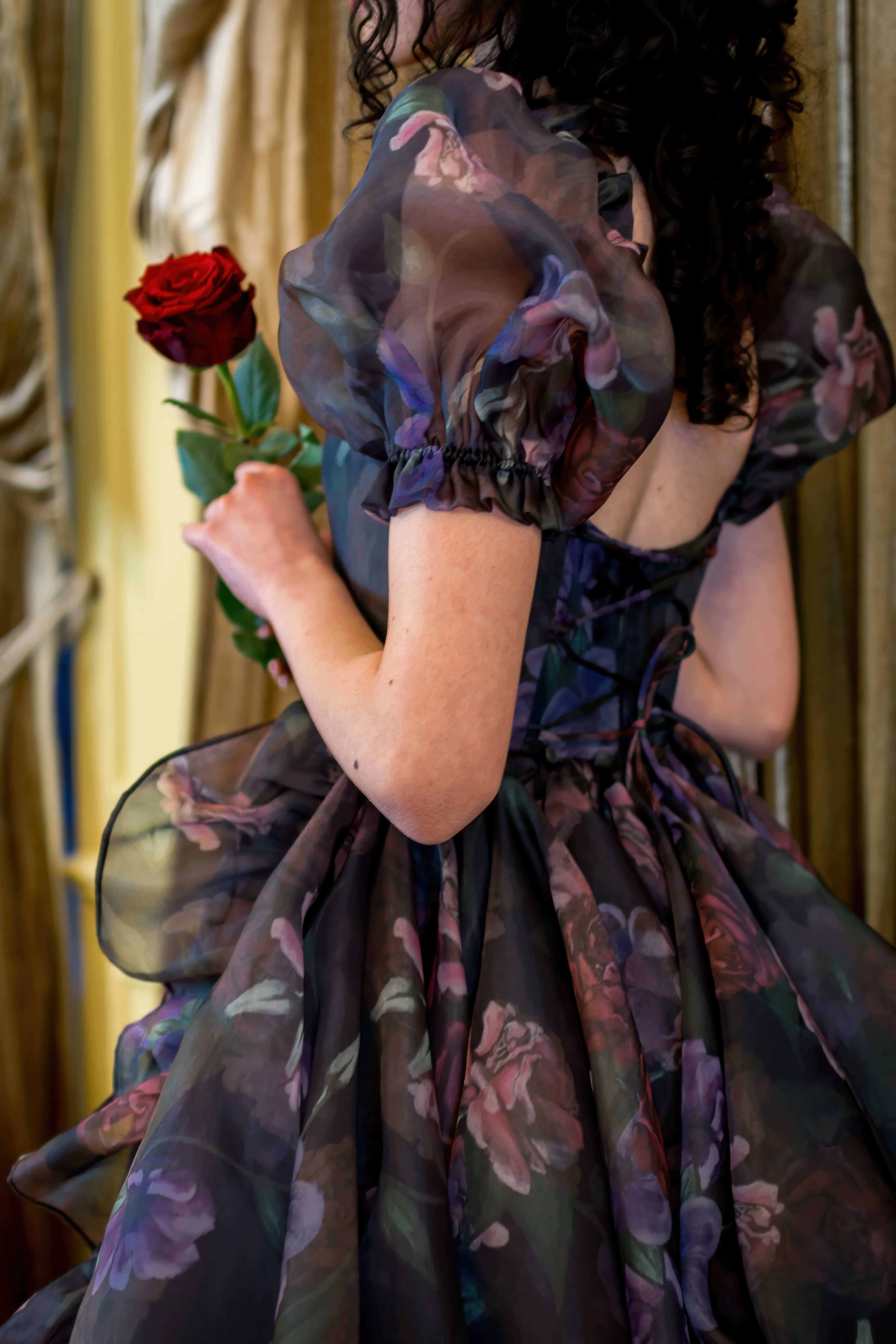 Odile's Triumph Chateau Train Gown - Image 13